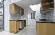 Acton Green kitchen extension leads